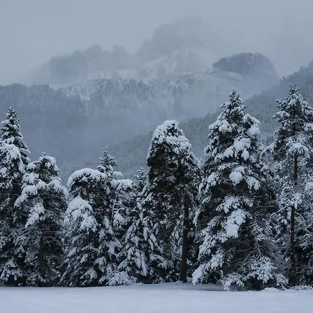 شقة Pirenaica By Bevalle إسكارييا