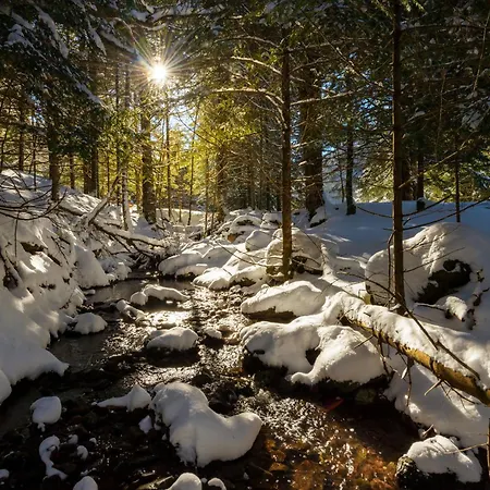 Pirenaica By Bevalle شقة إسكارييا