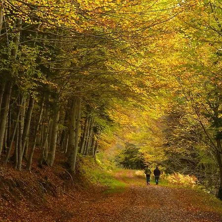 Pirenaica By Bevalle Апартаменты