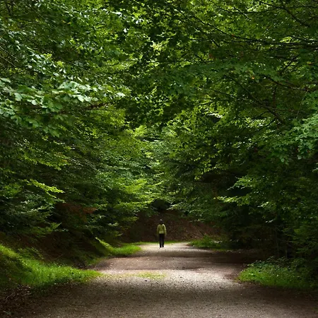 Апартаменты Pirenaica By Bevalle *