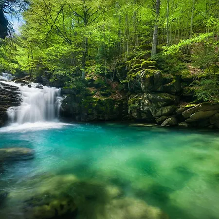 Апартаменты Pirenaica By Bevalle *