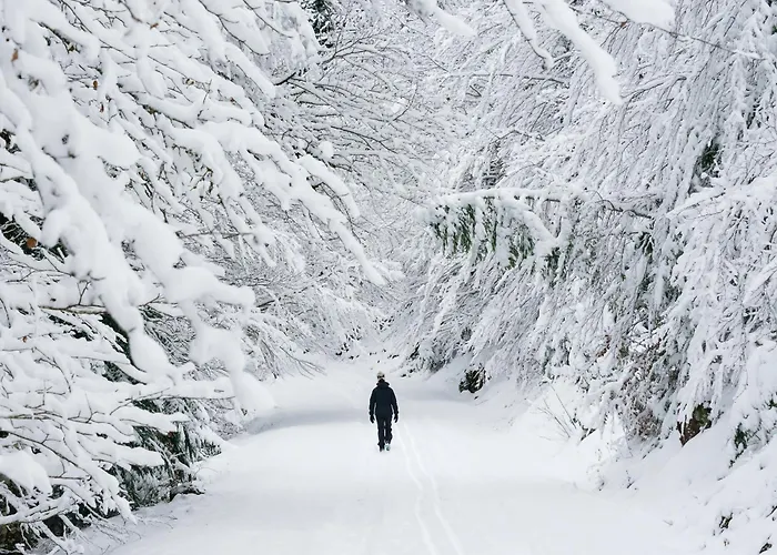 Апартаменты Pirenaica By Bevalle Эскаррилья